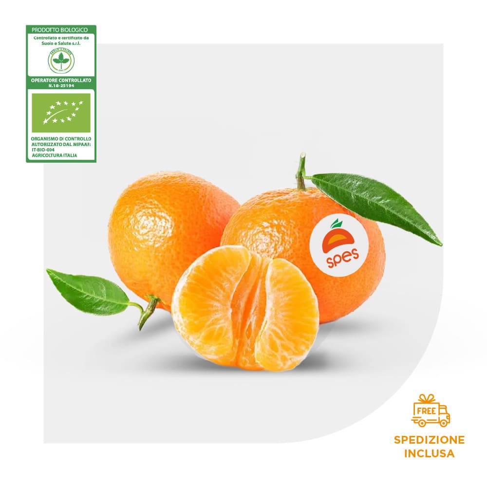 CLEMENTINE BIO