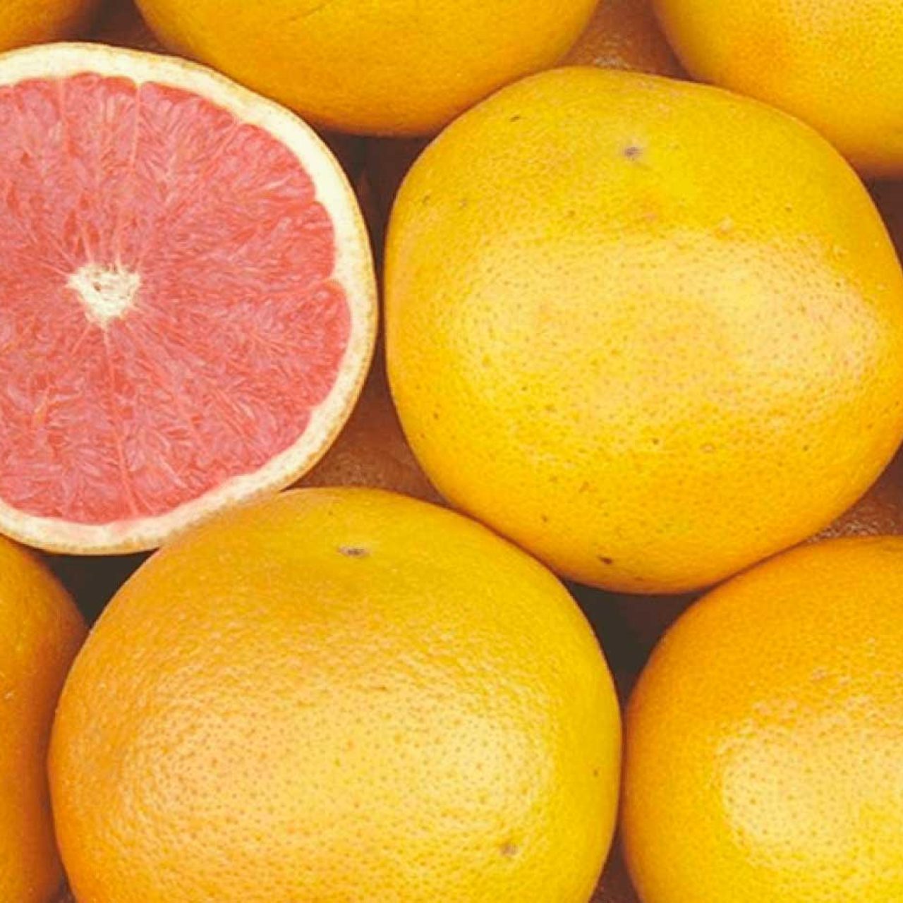 Pompelmi Biologici BIo | GenuinEat