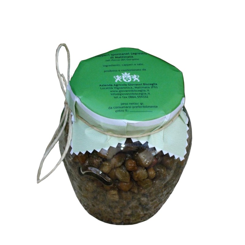 Capperi spontanei - Bisceglie - piccola