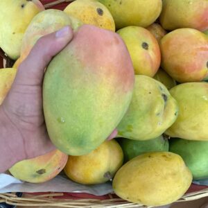 Mango Siciliano Bio - 5kg
